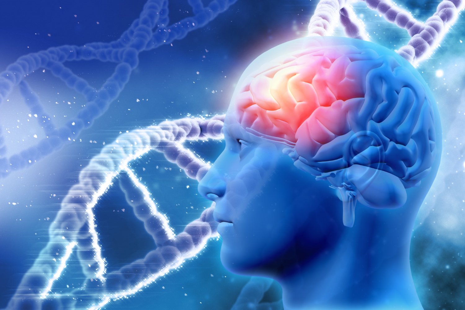 Neural pathways activating during a reaction time response